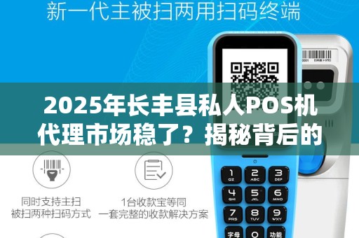 2025年长丰县私人POS机代理市场稳了？揭秘背后的3大关键因素！