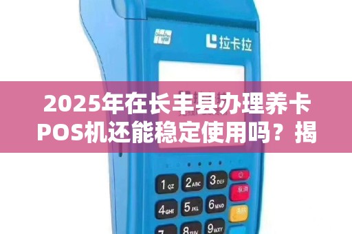 2025年在长丰县办理养卡POS机还能稳定使用吗？揭秘行业最新内幕！