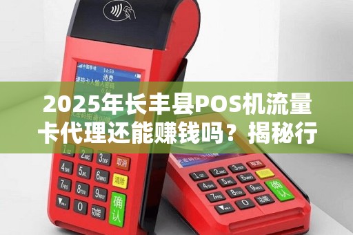 2025年长丰县POS机流量卡代理还能赚钱吗？揭秘行业新趋势