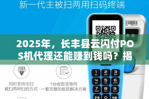 2025年，长丰县云闪付POS机代理还能赚到钱吗？揭秘行业真相与突围策略！