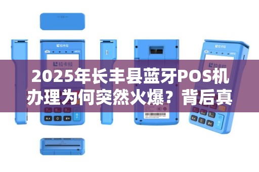 2025年长丰县蓝牙POS机办理为何突然火爆？背后真相令人意外！