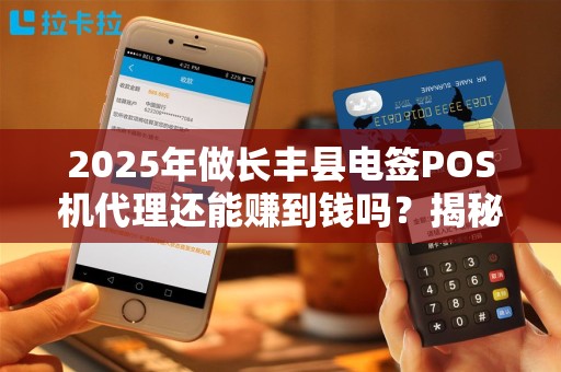 2025年做长丰县电签POS机代理还能赚到钱吗？揭秘行业现状与盈利关键！
