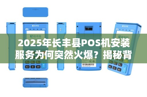 2025年长丰县POS机安装服务为何突然火爆？揭秘背后的三大原因！