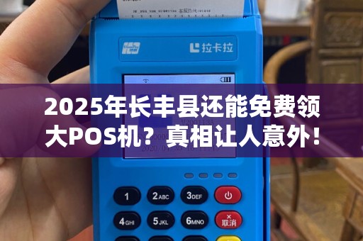 2025年长丰县还能免费领大POS机？真相让人意外！