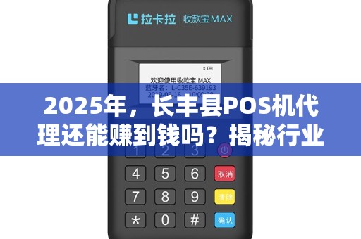 2025年，长丰县POS机代理还能赚到钱吗？揭秘行业新机遇与挑战！