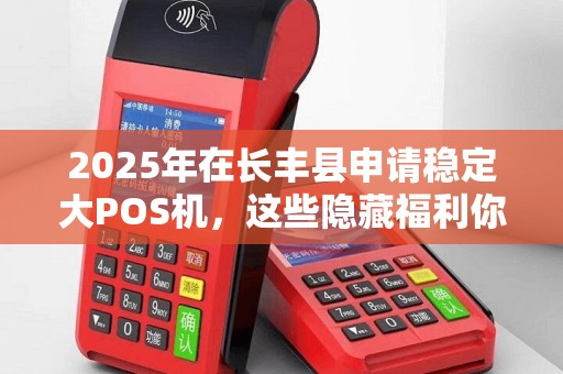 2025年在长丰县申请稳定大POS机，这些隐藏福利你知道吗？