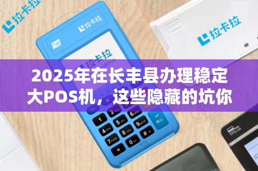 2025年在长丰县办理稳定大POS机，这些隐藏的坑你踩过吗？