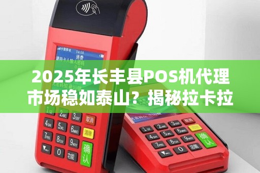 2025年长丰县POS机代理市场稳如泰山？揭秘拉卡拉背后的财富密码！