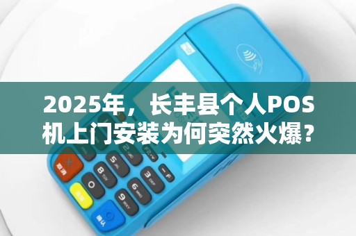 2025年，长丰县个人POS机上门安装为何突然火爆？揭秘背后三大真相！
