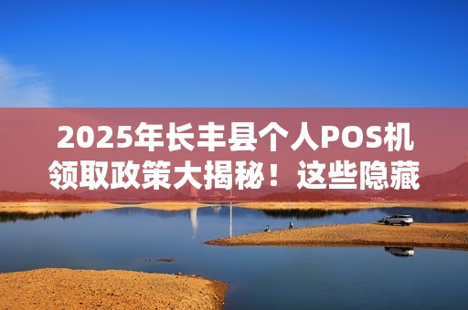 2025年长丰县个人POS机领取政策大揭秘！这些隐藏福利你领了吗？