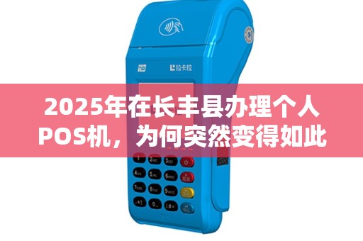 2025年在长丰县办理个人POS机，为何突然变得如此简单？揭秘背后隐藏的3大政策红利！