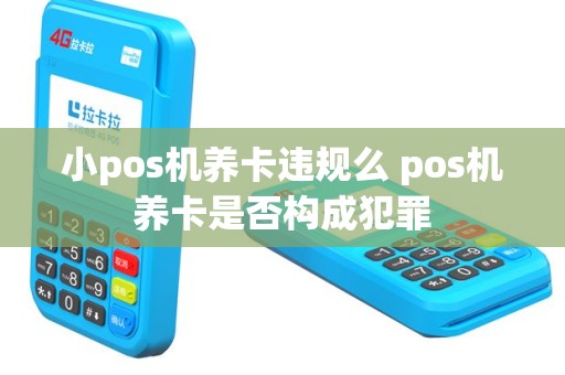小pos机养卡违规么 pos机养卡是否构成犯罪