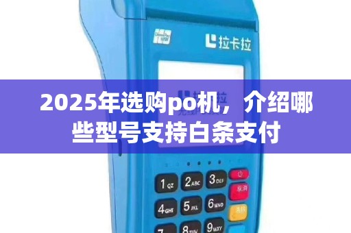 2025年选购po机，介绍哪些型号支持白条支付