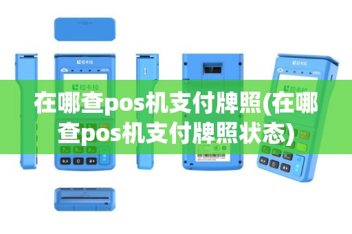 在哪查pos机支付牌照(在哪查pos机支付牌照状态)