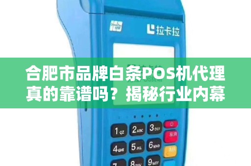 合肥市品牌白条POS机代理真的靠谱吗？揭秘行业内幕与避坑指南！