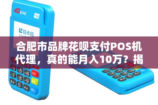 合肥市品牌花呗支付POS机代理，真的能月入10万？揭秘背后的真相！