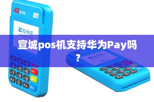 宣城pos机支持华为Pay吗? 宣城pos机支持华为Pay吗?