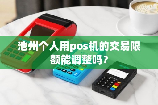 池州个人用pos机的交易限额能调整吗？