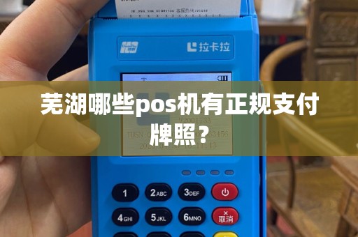 芜湖哪些pos机有正规支付牌照？