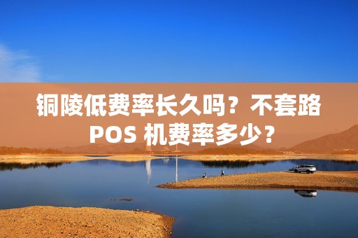 铜陵低费率长久吗？不套路 POS 机费率多少？