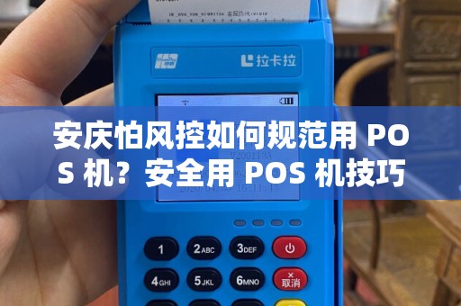 安庆怕风控如何规范用 POS 机？安全用 POS 机技巧？