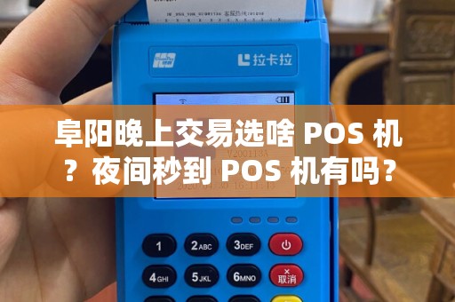 阜阳晚上交易选啥 POS 机？夜间秒到 POS 机有吗？