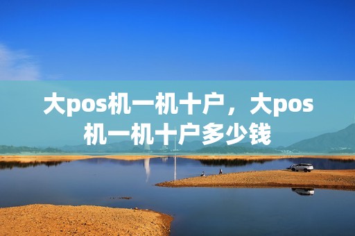 大pos机一机十户，大pos机一机十户多少钱