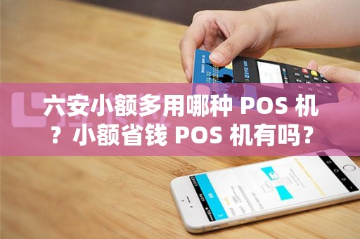 六安小额多用哪种 POS 机？小额省钱 POS 机有吗？