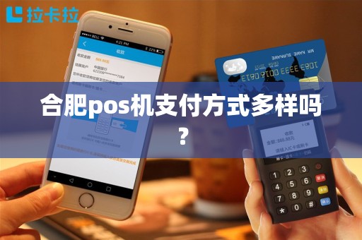 合肥pos机支付方式多样吗？
