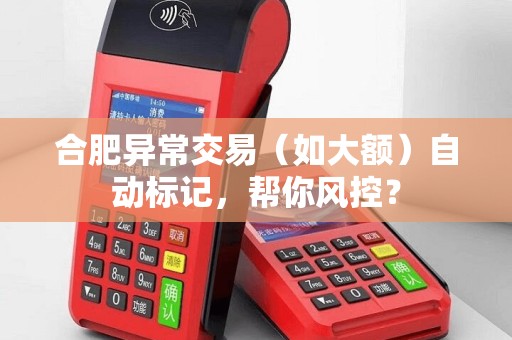合肥异常交易（如大额）自动标记，帮你风控？