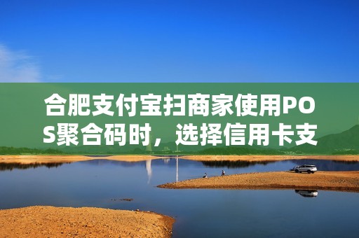 合肥支付宝扫商家使用POS聚合码时，选择信用卡支付足够安全吗？