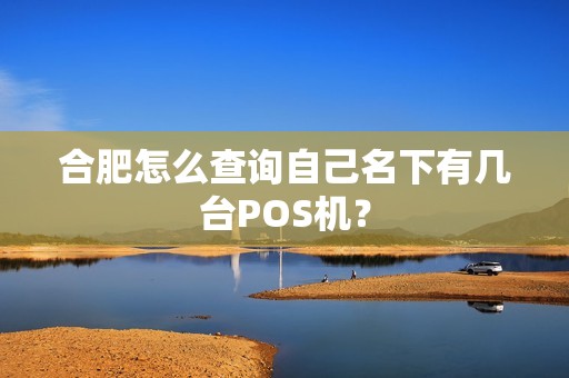 合肥怎么查询自己名下有几台POS机? 合肥怎么查询自己名下有几台POS机?