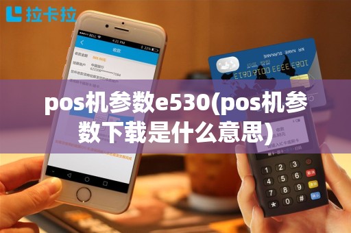 pos机参数e530(pos机参数下载是什么意思)