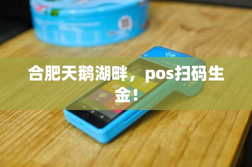 合肥天鹅湖畔，pos扫码生金！