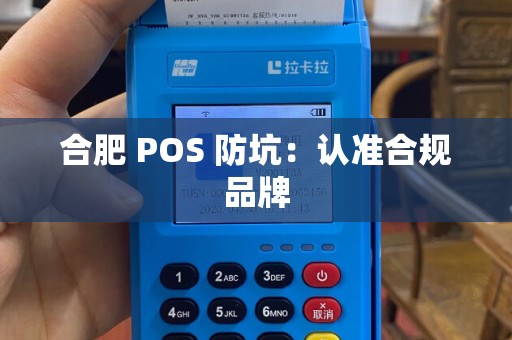 合肥 POS 防坑：认准合规品牌