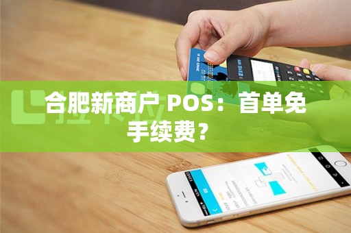 合肥新商户 POS：首单免手续费？ 