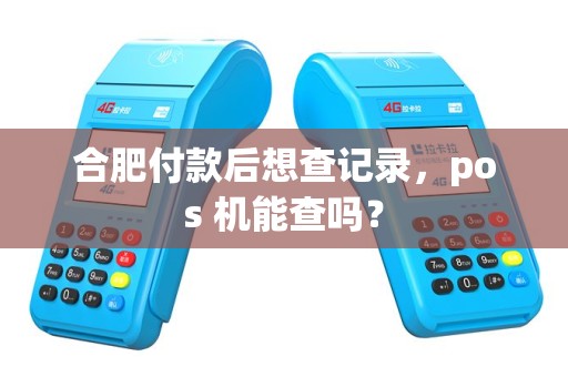 合肥付款后想查记录，pos 机能查吗？