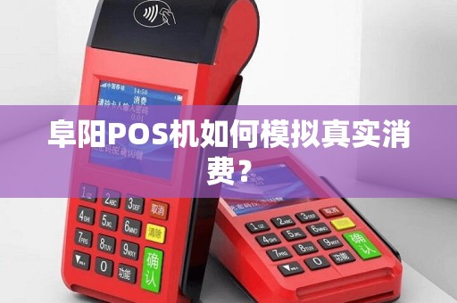 阜阳POS机如何模拟真实消费？
