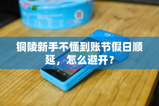 铜陵新手不懂到账节假日顺延，怎么避开？