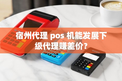 宿州代理 pos 机能发展下级代理赚差价?