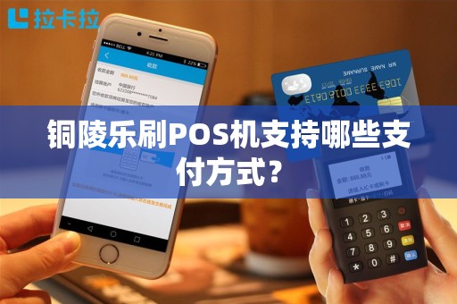 铜陵乐刷POS机支持哪些支付方式？