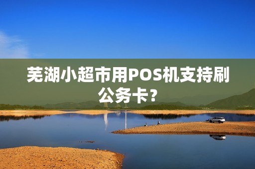芜湖小超市用POS机支持刷公务卡?