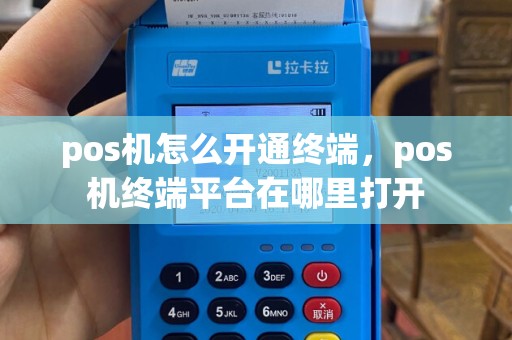 pos机怎么开通终端，pos机终端平台在哪里打开