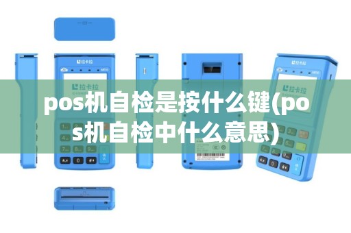 pos机自检是按什么键(pos机自检中什么意思)