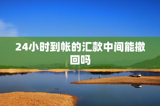 24小时到帐的汇款中间能撤回吗