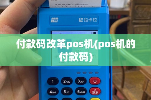 付款码改革pos机(pos机的付款码)