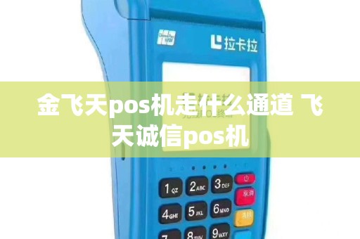 金飞天pos机走什么通道 飞天诚信pos机
