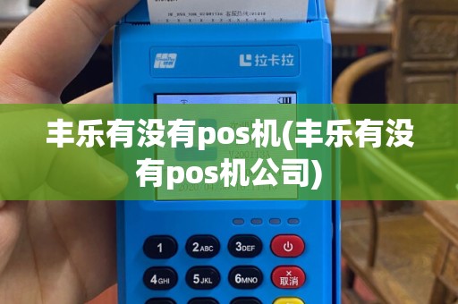 丰乐有没有pos机(丰乐有没有pos机公司)