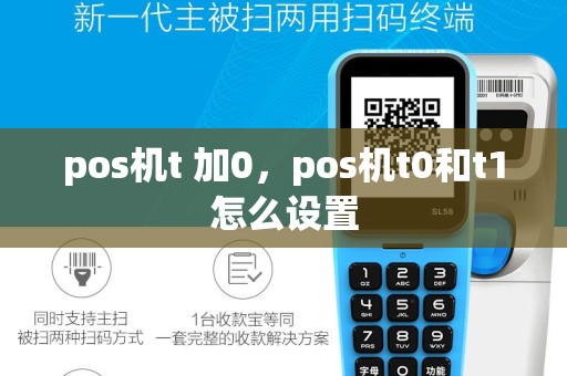 pos机t 加0，pos机t0和t1怎么设置