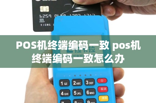 POS机终端编码一致 pos机终端编码一致怎么办